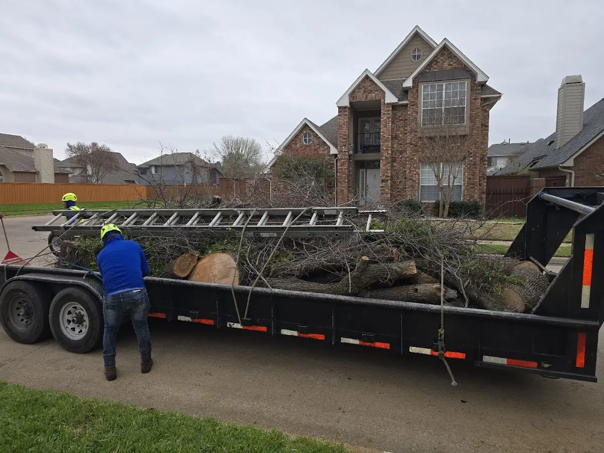 Expert Lot Clearing with proper safety equipment in Lewiston